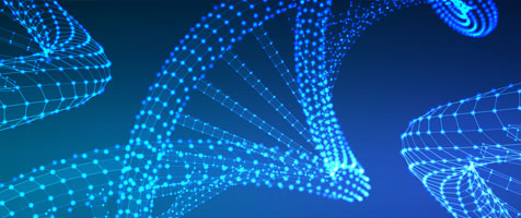 hepg2細(xì)胞基因編輯