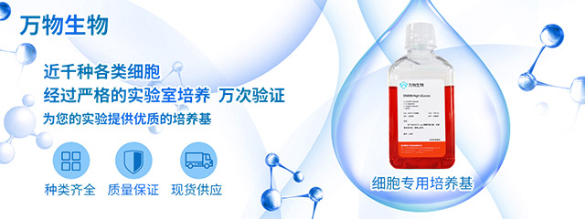 delf,原代細(xì)胞,細(xì)胞系