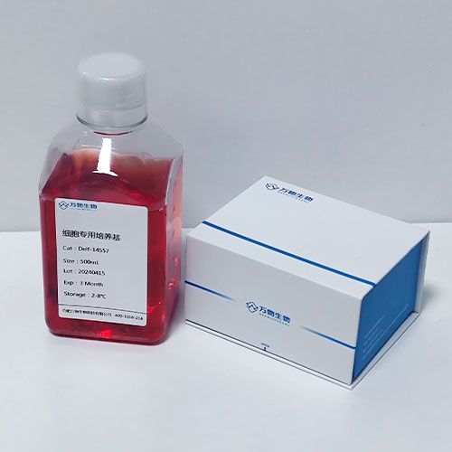 羊肩部皮膚毛囊干細(xì)胞永生化專用培養(yǎng)基