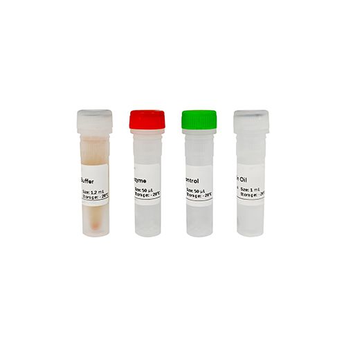 DELF快速支原體檢測試劑盒(等溫擴(kuò)增法)