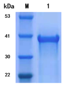 1657268707034080178.png 圖片.png