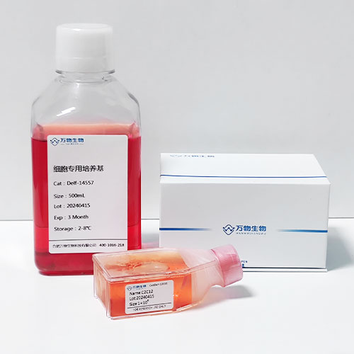 Delf間充質(zhì)干細(xì)胞成骨誘導(dǎo)分化試劑盒